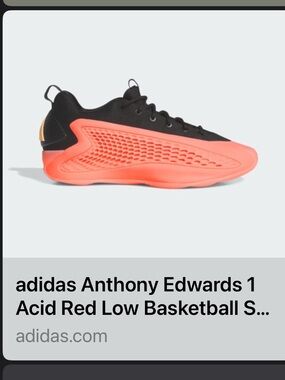 Anthony Edward’s basket ball shoes